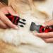 Buckle-Down Black Red Diagonal Buffalo Plaid Dog Collar - Adjustable Sizes for Small, Medium, Large Dogs - 1 Wide, Fits 15-26 Neck - Buy Online on GoSupps.com