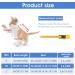 Molain Cat Professional Recovery Suit for Abdominal Wounds or Skin Diseases After Surgery E-Collar Alternative for Cats Anti Licking Pajama Suit Kittens Surgery Recovery Suit (Blue M Size) - Buy Online on GoSupps.com