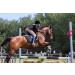 Premium Leather Riding Crop with Braided Handle | High Quality Equestrian Horse Crop - Buy Online on GoSupps.com