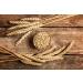 Sanniti Traditional Barley Malt Syrup 20 oz - Pure and Natural Sweetener - Buy Online on GoSupps.com
