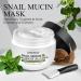 SHVYOG Snail Mucin Mask - Hydrating Snail Rescue Jelly Face Mask with 96% Snail Mucin & Mint Extract for Blemishes & Dull Skin - Buy Online on GoSupps.com