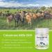 Hi Well Premium Grass-Fed Colostrum Milk 1500 - 120 Tablets - Buy Online on GoSupps.com