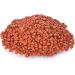 Old India Annatto Seeds 250g - Natural Red Food Coloring - Pack of 1 - Buy Online on GoSupps.com