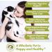 Wholistic Pet Organics Feline Complete Cat Multivitamins - 8 oz Supplement for Total Body Health - Buy Online on GoSupps.com