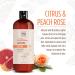 Soapbox Citrus & Peach Rose Body Wash - Moisturizing Cleanser with Aloe Vera & Shea Butter | 16oz Bottles (Pack of 3) - Paraben-Free, Gluten-Free, Silicone-Free, Cruelty-Free, Vegan - Buy Online on GoSupps.com