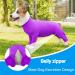 Etdane One-Divider for Dogs | Recovery Suit for Surgery | Anti-Hair Loss & Anxiety Relief | Jumpsuit in Violet/Lilac - Buy Online on GoSupps.com