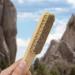 Ultra Durable Rock Climbing Brush with Boar's Hair Bristles - Indoor/Outdoor Use - CJ-CB2001B - Buy Online on GoSupps.com