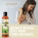 Cactus Juice Natural Soothing Moisturizer 8oz - Hydrating Dry Skin, Sunburns, Rashes & Itches - Buy Online on GoSupps.com