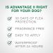 Advantage II Flea Prevention for Extra-Large Dogs | 6-Pack | Over 55 lbs - Buy Online on GoSupps.com