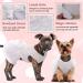 Dog White Princess Dress with Bowknot & Rose Decor - Medium Tutu Skirt for Small/Medium Girl Dogs - Formal & Sweet Summer Apparel for Wedding Party - Pet Lace Costume - Buy Online on GoSupps.com