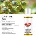 Castor Oil Cold Pressed Natural Vegan & Pure 100ML Castor Oil for Hair Eyebrows & Eyelash Growth Softer Skin & Face Organic Castor Oil Diminishes Wrinkles and Signs of Aging - Buy Online on GoSupps.com