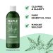 Deep Cleansing Degrease Shampoo for Oily Hair & Scalp Care - 8 Fl Oz (Pack of 1) - Buy Online on GoSupps.com