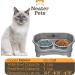 Neater Feeder Express Elevated Cat Bowls - Stainless Steel Food and Water Dishes - Raised Pet Bowls for Cats (Gunmetal) - Buy Online on GoSupps.com