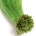 Green Keratin Bonding Extensions - 100% Remy Human Hair U-Tip - 50x 1g 45cm Smooth Strands in Green - Long Lasting Hair Extensions - Buy Online on GoSupps.com