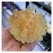 Natural Crystal Rough Crystal Cluster Natural Rare Yellow Quartz Crystal Cluster Specimen (Size : 150-200g)