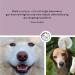 Annimally Eye Care Pads for Dogs & Cats - 100 Count | Gentle Eye Cleaning with Aloe Vera Chamomile & Panthenol - Buy Online on GoSupps.com