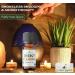 Energy Clearing Essential Oil Blend - Smoke-Free Sage Alternative - .33 oz - Buy Online on GoSupps.com