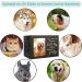 XLarge Pet Memorial Urn for Dog or Cat Ashes - Wooden Cremation Urn with Photo Frame and Memory Box - Loss Pet Remembrance Gift - Buy Online on GoSupps.com