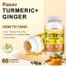 Rasav Turmeric Curcumin Supplement - 95% Curcuminoids with Turmeric & Ginger Black Pepper for Ultra High Absorption Support Joint & Digestion Health Non-GMO 60 Capsules 60 Count (Pack of 1) - Buy Online on GoSupps.com