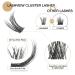 LASHVIEW DIY Individual Cluster Lashes - Natural 10mm - Featherlight Synthetic Lashes - Reusable - Transparent - Buy Online on GoSupps.com