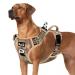 Eyin dog harness for large dogs adjustable breathable reflective padded and breathable breast dishes with handle and front bracket for daily training (camouflage l) l (neck: 42-60cm breast: 47-86cm) Tarngelb