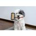 Lambskin Brush for Pets - Universal Care Brush for Dogs & Cats | Soft Grip Long & Short Hair Fur Brush | Black/Red - Buy Online on GoSupps.com
