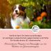 Annimally Flea & Tick Protection Spot On for Dogs (20-30kg) - 3 Months Long-Lasting Efficacy | Effective Tick & Flea Remedy - Buy Online on GoSupps.com
