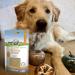 Food Supplement for Dogs - Bellfor Immun Powder - 80g. Immune System Booster for Dogs. Formulated with Natural Ingredients to Strengthen Dogs of All Ages - Buy Online on GoSupps.com