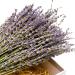 TooGet Natural Lavender Bundles - 400+ Stems Dried Lavender Bunch for Home Decor, Crafts, Wedding - 16-18 Long - Buy Online on GoSupps.com