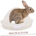BESPORTBLE Rabbit Triangle Toilet Pet Litter Basin Pet Potty Guinea Pig Litter Tray Abs White 25.00X19.00X10.00CM White - Buy Online on GoSupps.com