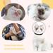 Breathable Cat Muzzle Anti Bite Muzzles Cat Adjustable Hood Cat Helmet Cat Protective Space Cover Cat Bath Grooming Supplies Prevent from Biting (L) - Buy Online on GoSupps.com