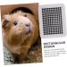 HAPINARY Box Hamster Toilet Bunny Trainer Toilet Plastic Pet Toilet -Fall Bunny Potty Rabbit Training Potty Rabbit Potty Bunny Cage Toilet Small Pet Cage Supply Bunny Pet Toilet 24.5X19.5X3CM Black - Buy Online on GoSupps.com