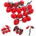 Ciieeo 2pcs String Simulated Cherry Tomatoes Fake Tomatoes Fruits Faux Cherry Tomatoes Ornament Plant Decorations Kid Toy Home Ornament Vegetable Pvc Child Red Small Tomatoes Redx2pcs 18X16CMx2pcs - Buy Online on GoSupps.com