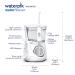 Waterpik Aquarius Water Flosser Professional 10 Settings, 7 Tips, ADA Accepted - Buy Online on GoSupps.com