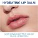 Hydrating and Moisturizing Lip Balm - Lip Care for Chapped Lips - Smooth Lip Repair Lip Balm 22g - Lip Care for Lasting Moisturizing - Spf Lip Balm for Dry Cracked Lips - Buy Online on GoSupps.com