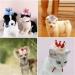 Dog Birthday Hat Pet Cat Birthday Hat Cute Lace Dog Crown Hat Headwear Caps Costumes for Small Medium Puppy Kitten Party Decorations (PINK) - Buy Online on GoSupps.com
