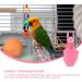 Hemobllo Parrot Flight Suit Bird Flight Suit Dress Parrot Washable Diaper Nappies Cockatiel Flight Suit Pet Bird Macaw Bird Costume Parakeet Nappy Budgie Nappy Suede Pink Clothing - Buy Online on GoSupps.com