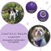 Slowton Dog Harness with Safety Belt for Car | Breathable Dog Seat Belt with 2 Carabin Hooks (Purple Large) - Secure Your Pet's Safety - Buy Online on GoSupps.com