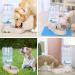 Automatic Cat Water Dispenser & Food Mat - 1.5 Gallon Capacity (Grey) | For Small to Medium Pets - Buy Online on GoSupps.com