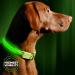 ILLUMISEEN LED Dog Collar USB Rechargeable - Bright & High Visibility Lighted Glow Collar for Pet Night Walking - Weatherproof, in 6 Colors & 6 Sizes Neon Green Large (L) - 19" - 24"