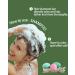 Egg Shampoo Bars & Conditioner Bar Gift Set | Travel Size Solid Shampoo & Conditioner | 4Pc Sampler Set | Sulfate Free & Plastic Free - Buy Online on GoSupps.com