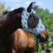 Harrison Howard Super Comfort Stretchy Fly Mask - Large Eye Space UV Protection & Breathability - Blue Diamond Medium - Buy Online on GoSupps.com