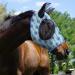 Harrison Howard Fly Mask for Horses - XL Extra-Full Comfortable & UV Protection Light Blue (Nature Aztec) - Best ECommerce Shipping Worldwide - Buy Online on GoSupps.com