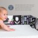 Buy Taf Toys 13065 - Hide and Seek Game Book Garden | International Shipping | Fun Learning for Kids - Buy Online on GoSupps.com