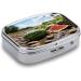 Watermelon Print Pill Box | 2 Compartment Portable Medicine Organizer | Decorative Metal Pill Case for Pocket & Purse - Buy Online on GoSupps.com