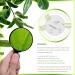 Exosome Toner - Clarifying & Moisturizing Ginseng Tree Exosome 100% Vegan Quick-Absorbing for All Skin Types | 4.05 Fl Oz - Buy Online on GoSupps.com