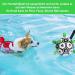 Durable Xben Dog Toys for Big Dogs | 20cm Interactive Dog Balls & Footballs | Water Toys & Tug-of-War Balls - Buy Online on GoSupps.com