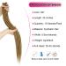 Dansama 24 Inch Synthetic Dreadlock Extensions 10 Strands - Blonde & Brown | Reggae Braiding Crochet Dreads - Buy Online on GoSupps.com