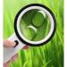 Lightweight Magnifying Glass Handheld 30 Times High-Definition Magnifying Glass with 12Led Light for Newspaper Reading and Watch Repair Lofty Ambition - Buy Online on GoSupps.com