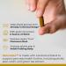 Premier Research Labs PancreVen - Pancreas Support Pancreas Supplement Cinnamon Supplements with Organic Ceylon Cinnamon & Prickly Pear to Aid Pancreas Health - 120 Vegetarian Capsules - Buy Online on GoSupps.com
